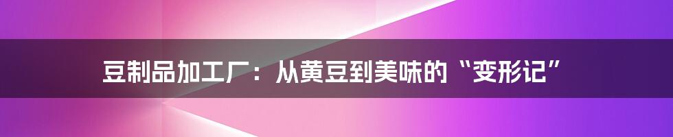豆制品加工厂:从黄豆到美味的“变形记”