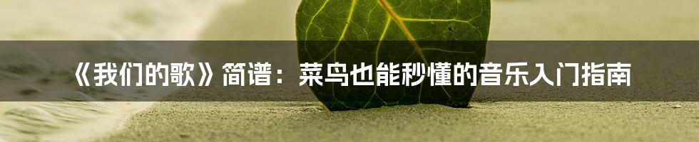 《我们的歌》简谱：菜鸟也能秒懂的音乐入门指南