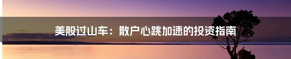 美股过山车：散户心跳加速的投资指南