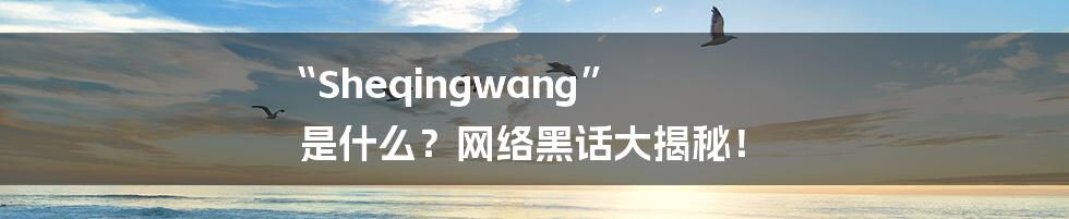 “Sheqingwang” 是什么？网络黑话大揭秘！