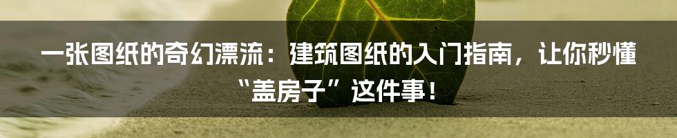 一张图纸的奇幻漂流：建筑图纸的入门指南，让你秒懂“盖房子”这件事！
