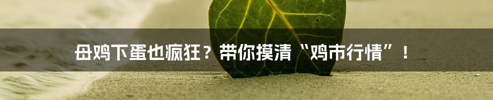 母鸡下蛋也疯狂？带你摸清“鸡市行情”！