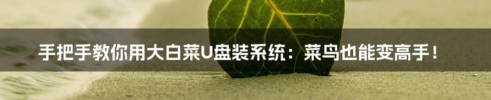 手把手教你用大白菜U盘装系统:菜鸟也能变高手!
