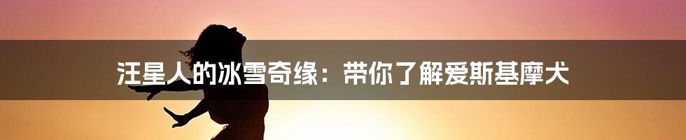 汪星人的冰雪奇缘:带你了解爱斯基摩犬