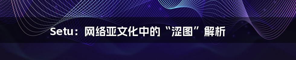 Setu:网络亚文化中的“涩图”解析