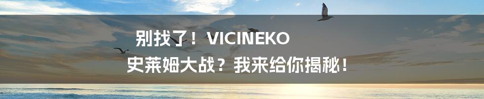 别找了!VICINEKO 史莱姆大战?我来给你揭秘!