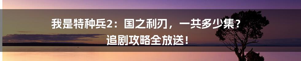 我是特种兵2:国之利刃,一共多少集? 追剧攻略全放送!