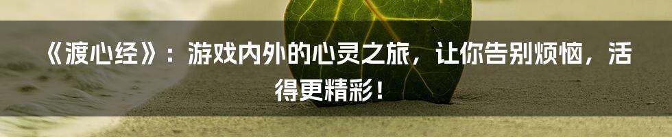 《渡心经》：游戏内外的心灵之旅，让你告别烦恼，活得更精彩！
