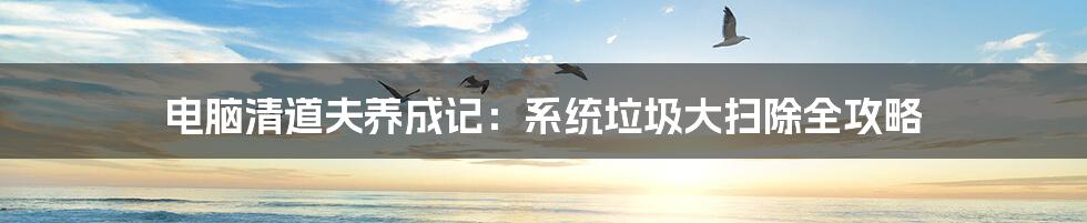 电脑清道夫养成记：系统垃圾大扫除全攻略