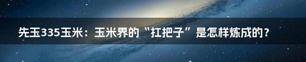 先玉335玉米:玉米界的“扛把子”是怎样炼成的?