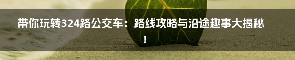 带你玩转324路公交车：路线攻略与沿途趣事大揭秘！