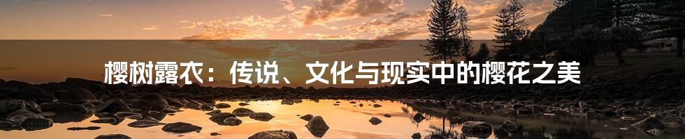 樱树露衣:传说、文化与现实中的樱花之美