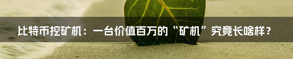 比特币挖矿机:一台价值百万的“矿机”究竟长啥样?
