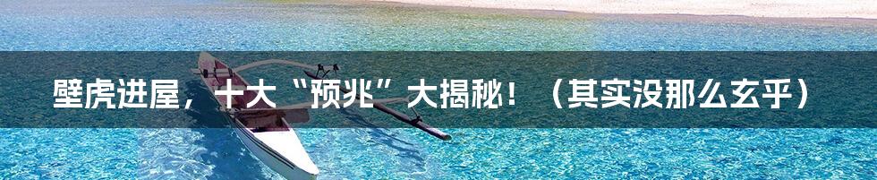 壁虎进屋,十大“预兆”大揭秘!(其实没那么玄乎)