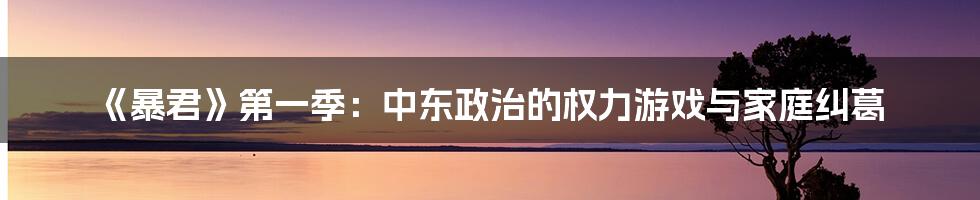 《暴君》第一季:中东政治的权力游戏与家庭纠葛