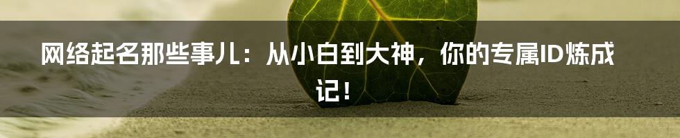 网络起名那些事儿:从小白到大神,你的专属ID炼成记!