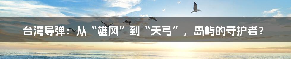 台湾导弹:从“雄风”到“天弓”,岛屿的守护者?