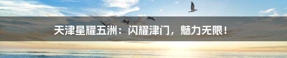 天津星耀五洲:闪耀津门,魅力无限!