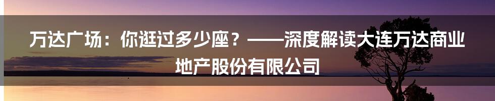 万达广场:你逛过多少座?——深度解读大连万达商业地产股份有限公司