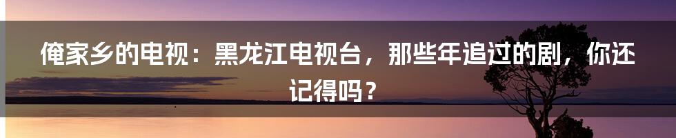 俺家乡的电视：黑龙江电视台，那些年追过的剧，你还记得吗？
