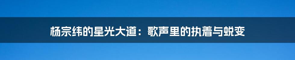 杨宗纬的星光大道:歌声里的执着与蜕变