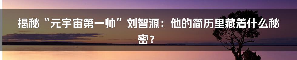 揭秘“元宇宙第一帅”刘智源：他的简历里藏着什么秘密？