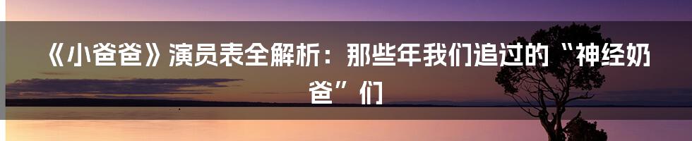 《小爸爸》演员表全解析：那些年我们追过的“神经奶爸”们