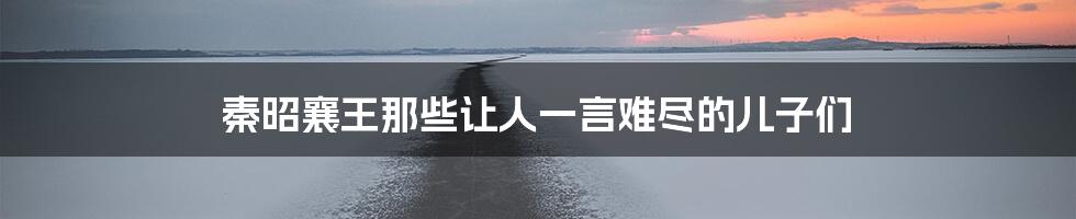 秦昭襄王那些让人一言难尽的儿子们