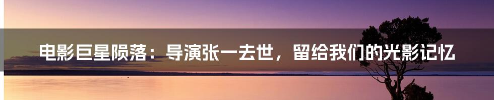 电影巨星陨落:导演张一去世,留给我们的光影记忆