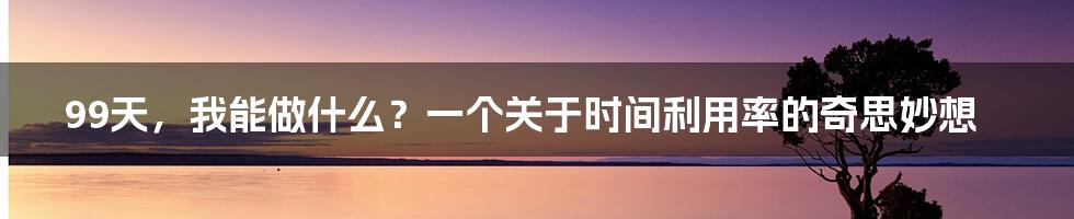 99天，我能做什么？一个关于时间利用率的奇思妙想