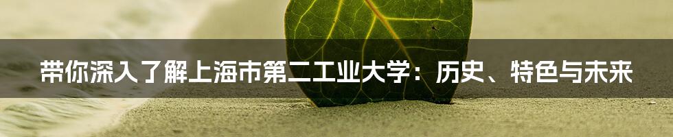 带你深入了解上海市第二工业大学:历史、特色与未来