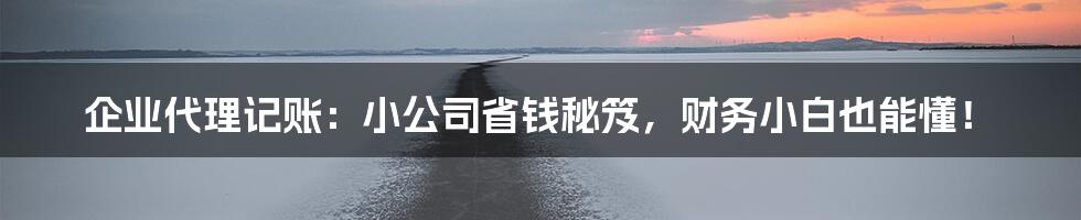 企业代理记账:小公司省钱秘笈,财务小白也能懂!