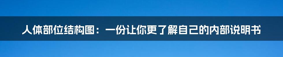 人体部位结构图：一份让你更了解自己的内部说明书