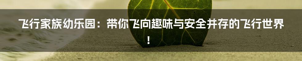 飞行家族幼乐园:带你飞向趣味与安全并存的飞行世界!