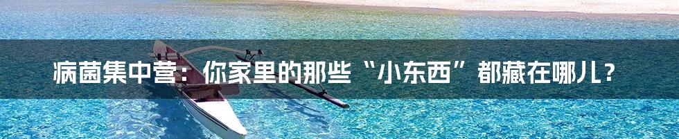 病菌集中营:你家里的那些“小东西”都藏在哪儿?