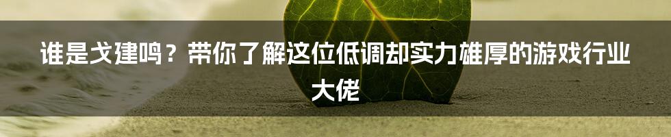谁是戈建鸣?带你了解这位低调却实力雄厚的游戏行业大佬