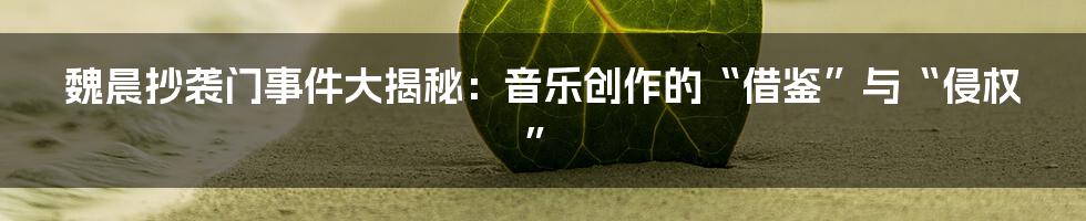 魏晨抄袭门事件大揭秘:音乐创作的“借鉴”与“侵权”
