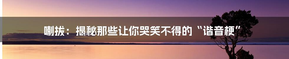 喇拔：揭秘那些让你哭笑不得的“谐音梗”