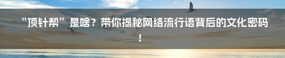 “顶针帮”是啥?带你揭秘网络流行语背后的文化密码!
