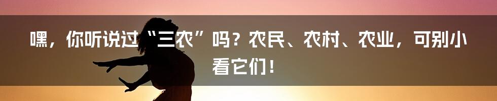 嘿,你听说过“三农”吗?农民、农村、农业,可别小看它们!