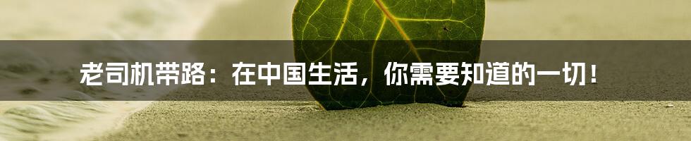 老司机带路：在中国生活，你需要知道的一切！