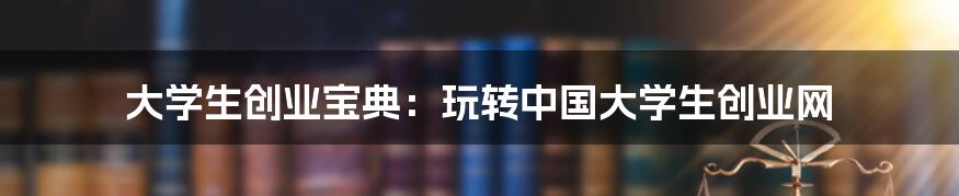 大学生创业宝典:玩转中国大学生创业网