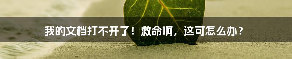 我的文档打不开了!救命啊,这可怎么办?