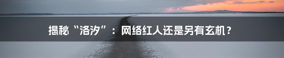 揭秘“洛汐”：网络红人还是另有玄机？