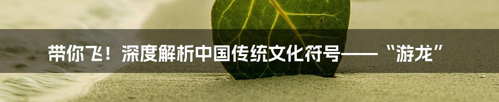 带你飞！深度解析中国传统文化符号——“游龙”