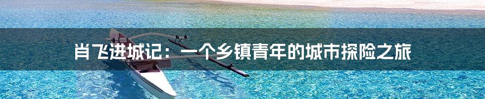 肖飞进城记：一个乡镇青年的城市探险之旅