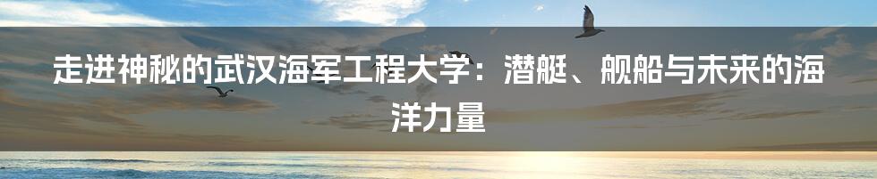 走进神秘的武汉海军工程大学:潜艇、舰船与未来的海洋力量