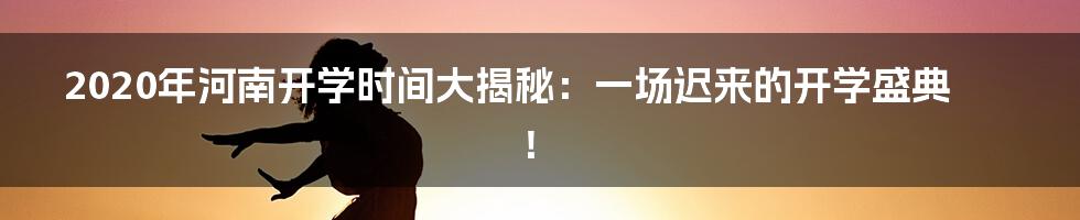 2020年河南开学时间大揭秘：一场迟来的开学盛典！