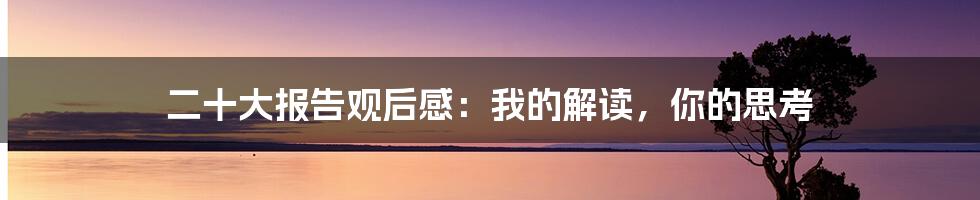 二十大报告观后感：我的解读，你的思考