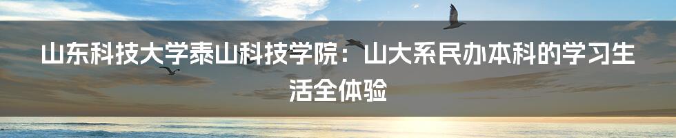 山东科技大学泰山科技学院:山大系民办本科的学习生活全体验
